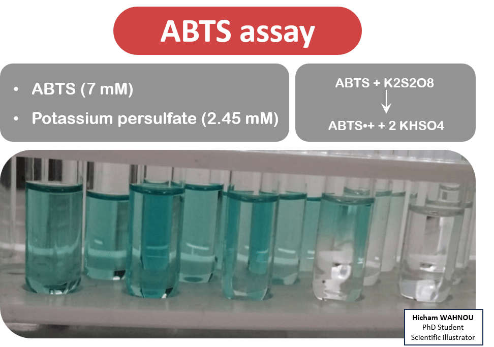 ABTS Assay Encyclopedia MDPI