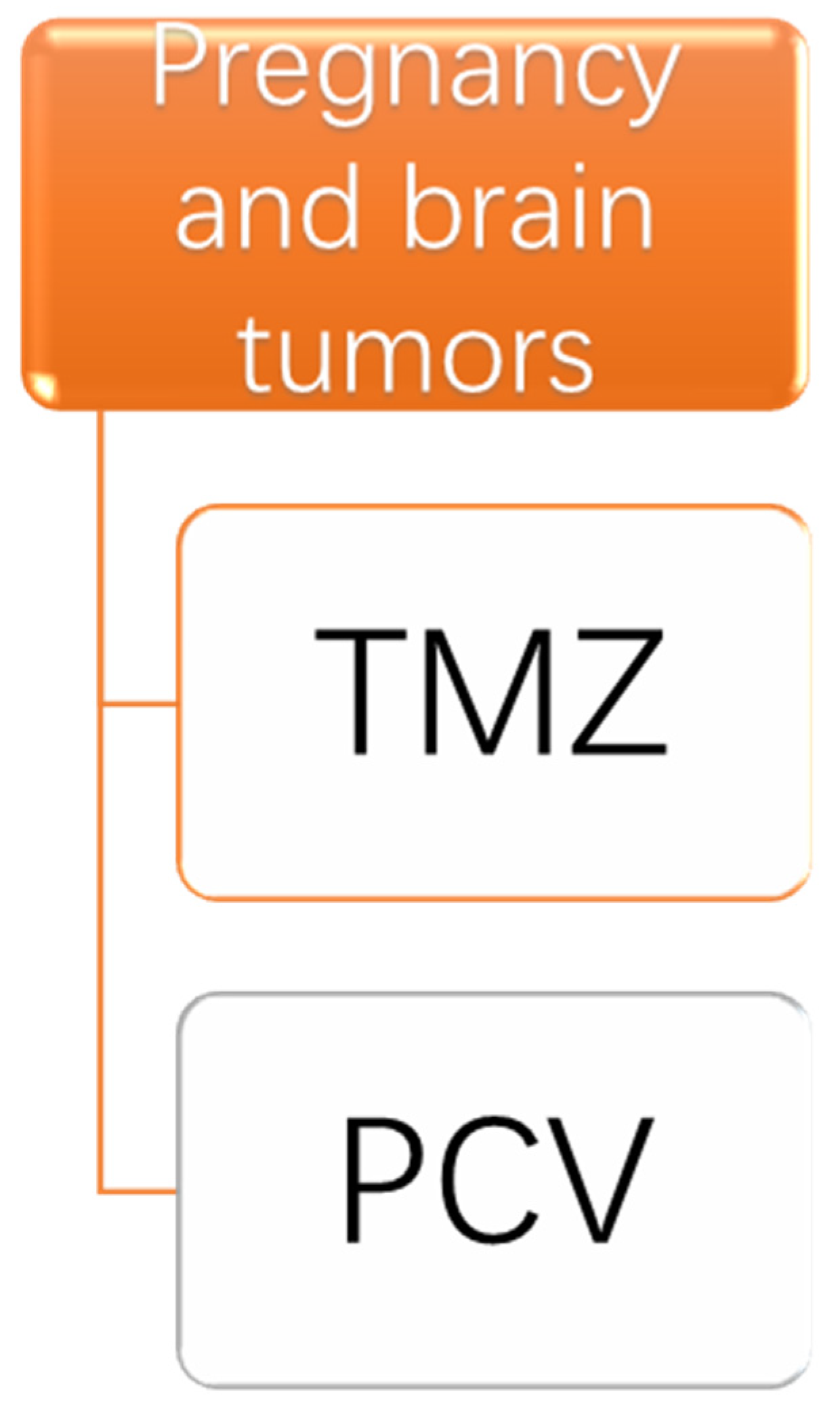 Cancer Treatment And Immunotherapy During Pregnancy Encyclopedia MDPI