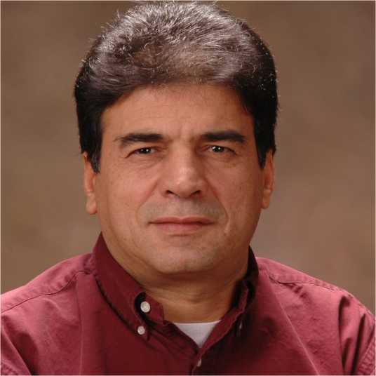 Ali T. Alouani