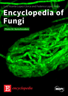 Encyclopedia of Fungi