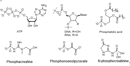 Phosphorus Compounds