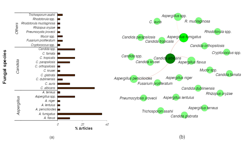 Figure 1. Distribution (a) and co-occurrence (b) of fungal species across randomly selected 50 case studies, prospective and retrospective published reports on fungal co-infections in hospitalized COVID-19 patients. In the co-occurrence network, nodes are colored based on betweenness centrality (species with high co-occurrence), while edges (connecting lines) indicate significant (p < 0.05) co-occurrence between species.