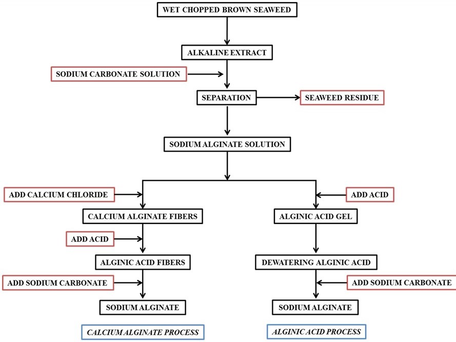 a) Images of seaweed species for carrageenan biopolymer extraction