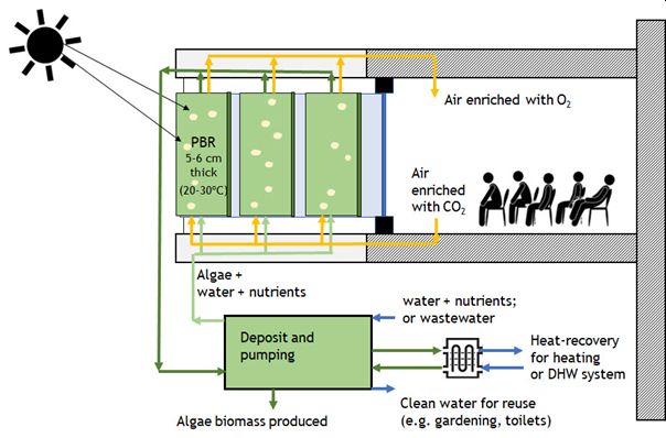 Microalgae system for indoor air improvement