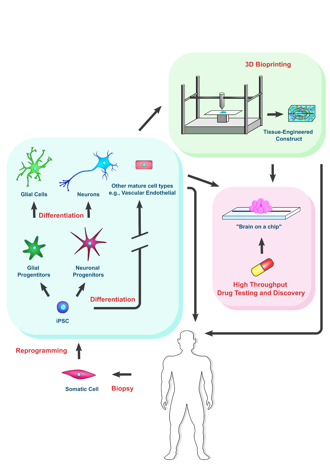 Graphical Abstract