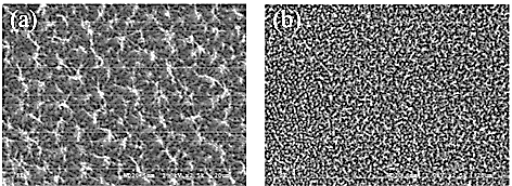 Figure 26. SEM images of Kapton H (a) and PI-1 (b) exposed to atomic oxygen (8.13 × 1020 atoms cm−1). Reprinted with permission from Ref. [65]. Copyright 2012 Elsevier.