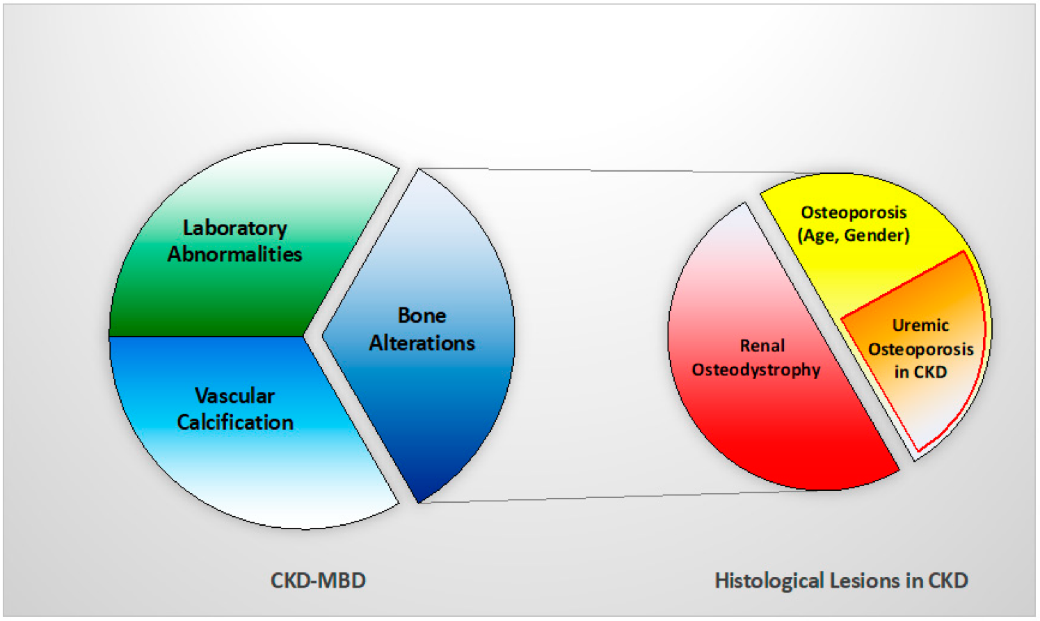 renal osteodystrophy histology