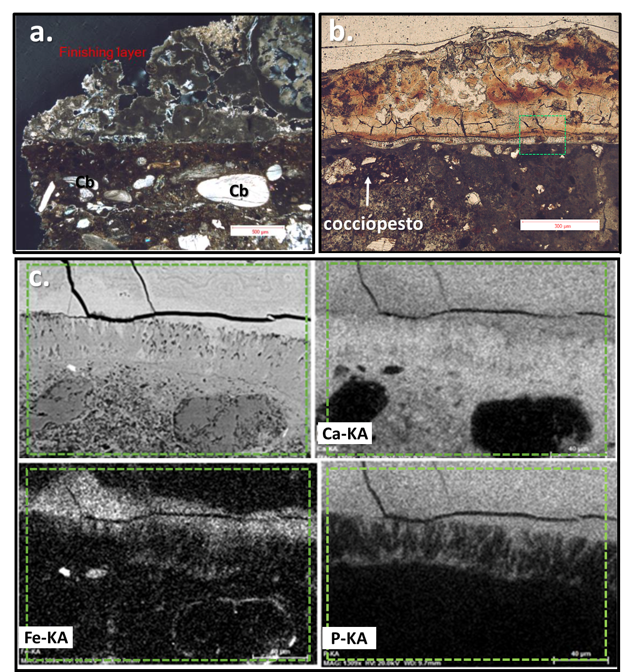 Figure 4. Micrographs showing: a. PLM (xpl) of plaster sample, the calcite finishing layer shows an irregular and porous surface, rich in dissolution and recrystallization phenomena. Presence of carbonate fraction (Cb) within the aggregate; b. PLM (ppl) of plaster sample, collected from the cistern, showing the external altered layer. A fragment of cocciopesto is highlighted by a white arrow. The secondary calcite, re-crystallized within the interface between the mortar and the external layer, is more evident under the ESEM microscope c., where also the presence of iron and phosphorus is detected by EDS maps (analyzed area is indicated by the rectangle, with dashed line, within b. and c.).