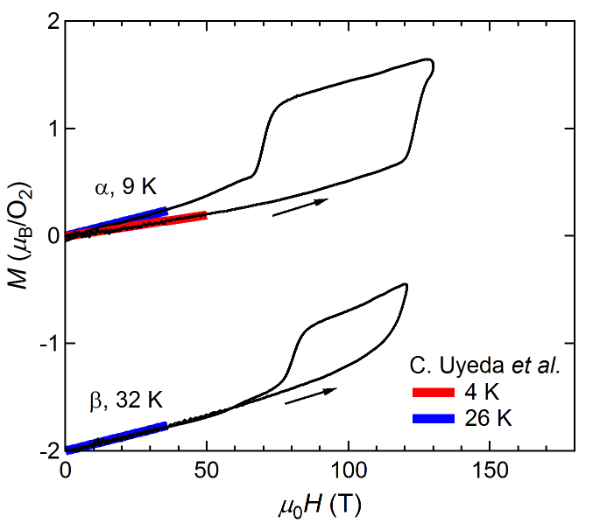 Magnetization curves of oxygen α  and β  phases.