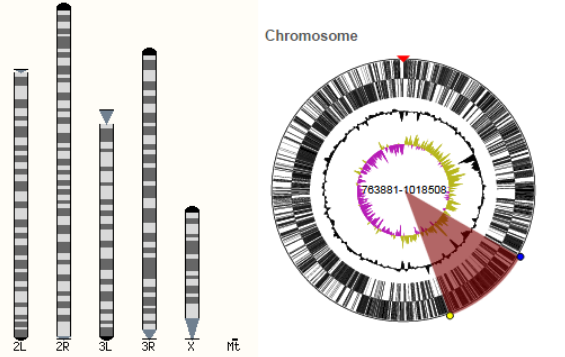 Ensembl Genomes | Encyclopedia MDPI