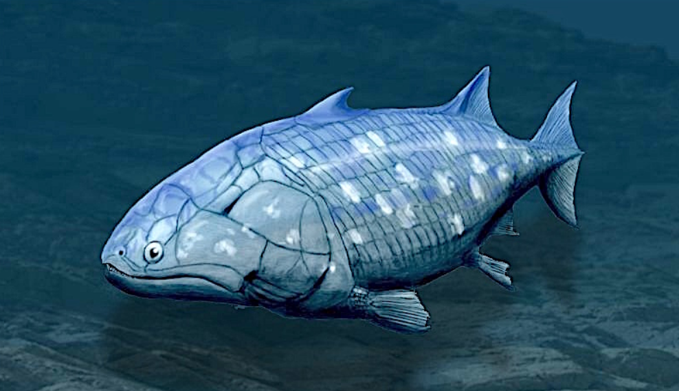 Lobe-Finned Fish  Encyclopedia MDPI