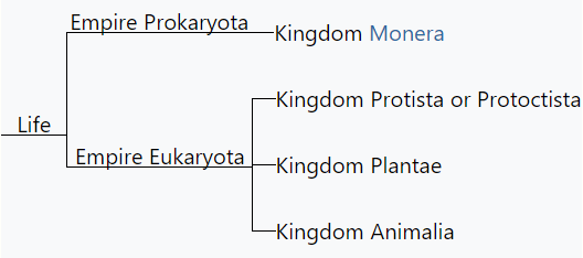 eukarya kingdoms