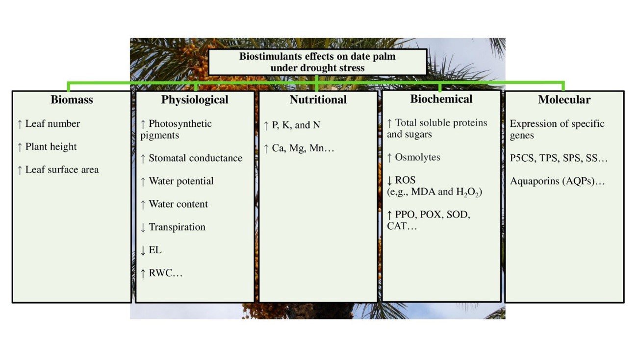 Sustainability 14 15984 g002 550