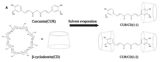 Polymers 14 05421 g001 550