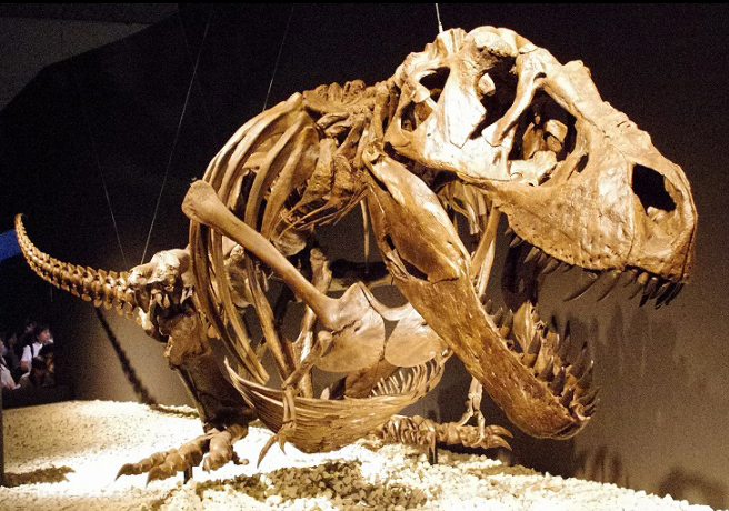 Here's The Real Story Of Whether You Could Outrun T. Rex