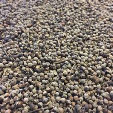 C:\Users\saroura\Desktop\gattilier photo\images.jpg