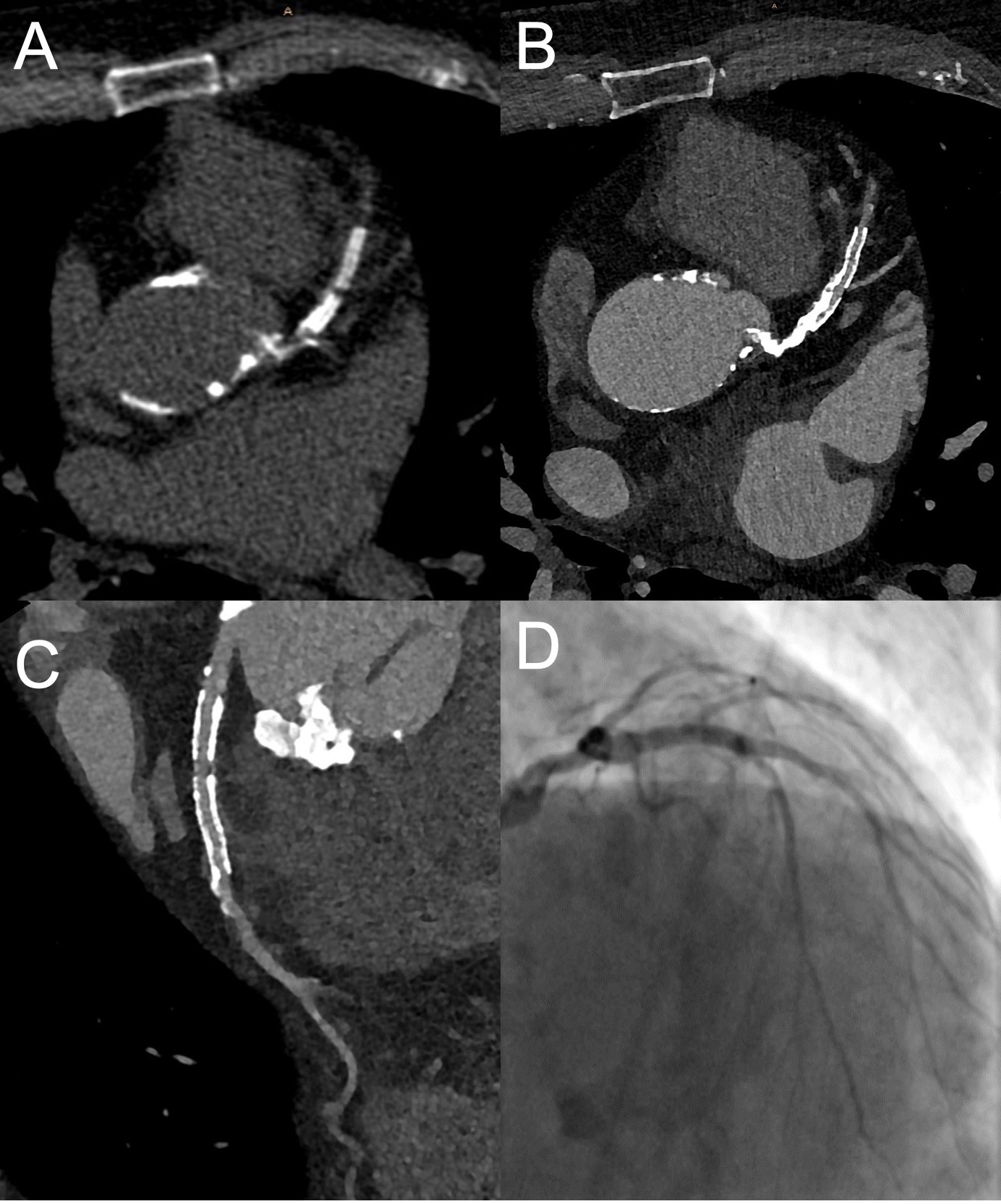 Ein Bild, das Waffe enthält.

Automatisch generierte Beschreibung