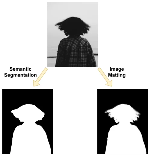 Figure 3. Comparison of the image semantic segmentation and image matting results.