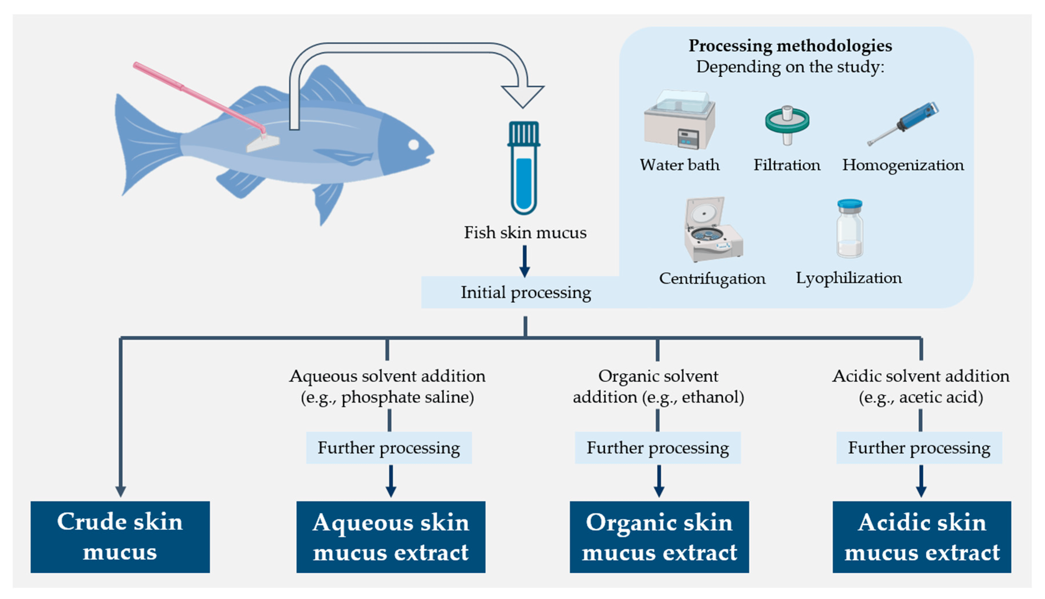 Schematic diagram summarizing the different molecular extraction approaches used for fish skin mucus samples
