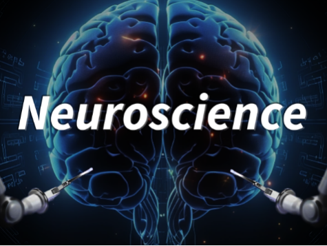 Neuroscience Made Simpler
