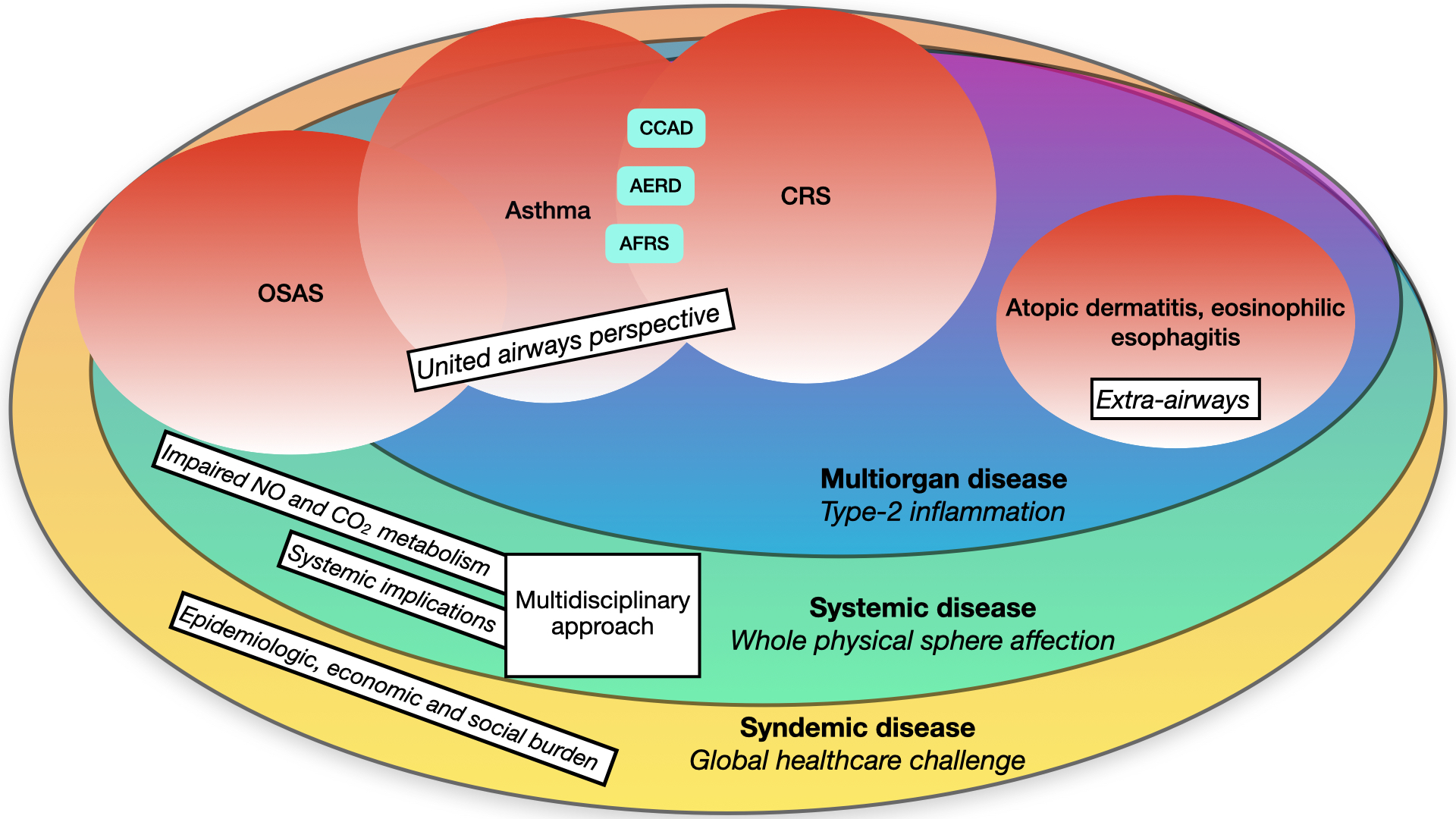 Figure 1. Broad view on type-2 related disorders from a multiorgan, systemic and syndemic per-spective