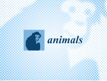 <em>Animals</em> Journal Video Abstracts