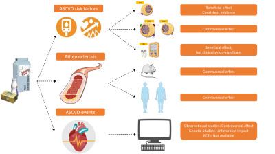 Plant Sterols/Stanols in Cholesterol Management and Cardiovascular Prevention