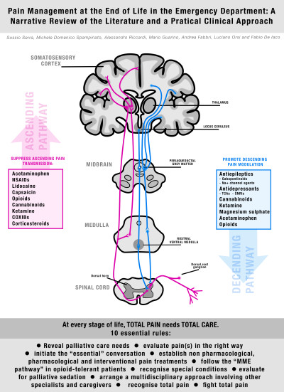 Pain Management at the End of Life in Emergency Department