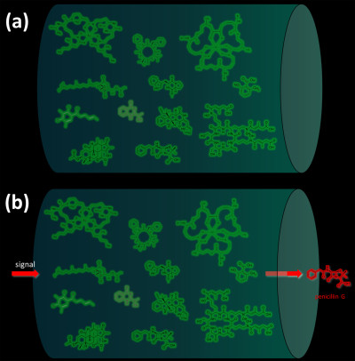 Biosynthesis of Secondary Metabolites in Response to Signal