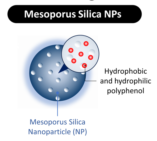 Silica Nanoparticles