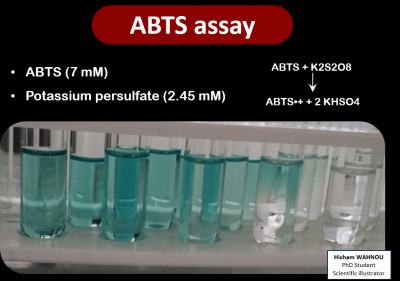 ABTS Assay