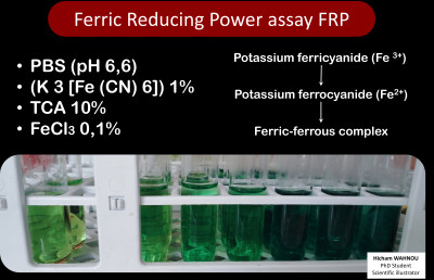 Ferric Reducing Power