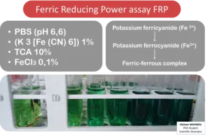 Ferric Reducing Power