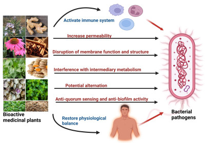 Bioactive Medicinal Plants