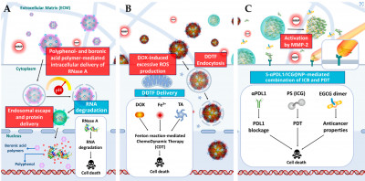 Nano-Based Drug Delivery of Natural Polyphenolic Compounds