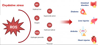 Oxydative Stress