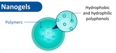 Nanogel-Polyphenols