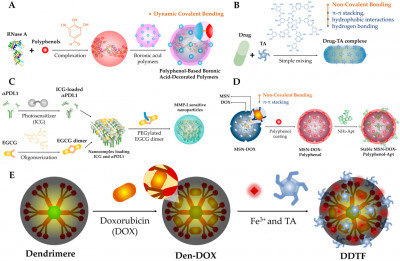 The Synthesis of Polyphenol-Based Nanoparticles