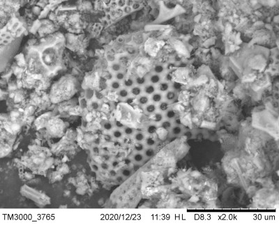 SEM Micrograph of Micrometric Diatomite Fragments