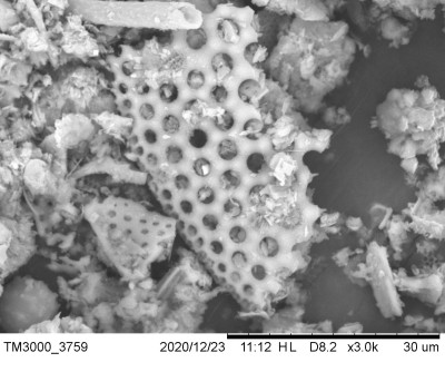 Top-Down Preparation of Micrometric Diatomite Fragments