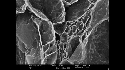 Scanning Electron Microscopy-Micrograph of Expanded Graphite