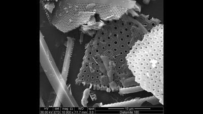 Scanning Electron Microscopy Micrograph of Diatomite Fragments