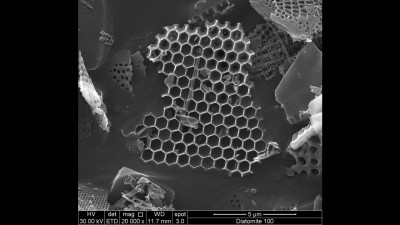 Scanning Electron Microscopy Micrograph of a Diatomite Fragment