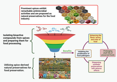 Spices as Sustainable Food Preservatives