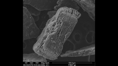 Scanning Electron Microscopy Micrograph of Graphite Bisulfate