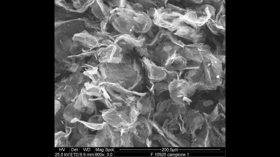 Graphite Nanoplatelets Micrograph Obtained by Scanning Electron Microscopy