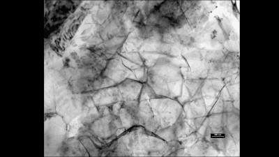 Graphite Oxide (GO) Prepared by the Hummers' Method