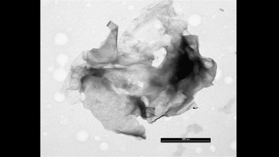 Transmission Electron Microscopy Micrograph of Graphite Oxide (GO)