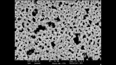 Scanning Electron Microscopy Micrograph of Microporous Palladium