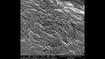 Nature-Made Nanostructured Materials (Clinoptilolite)